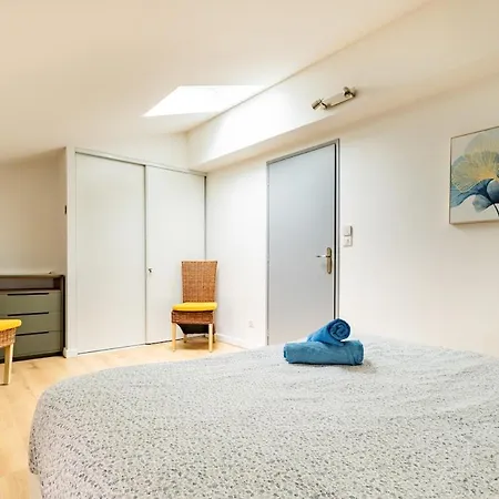 Apartman Le Grand Jany Spacious T4 With Terrace Castanet-Tolosan